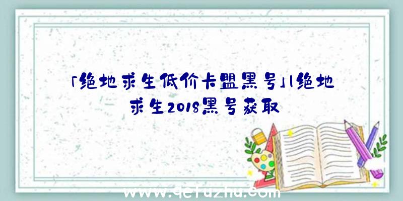 「绝地求生低价卡盟黑号」|绝地求生2018黑号获取